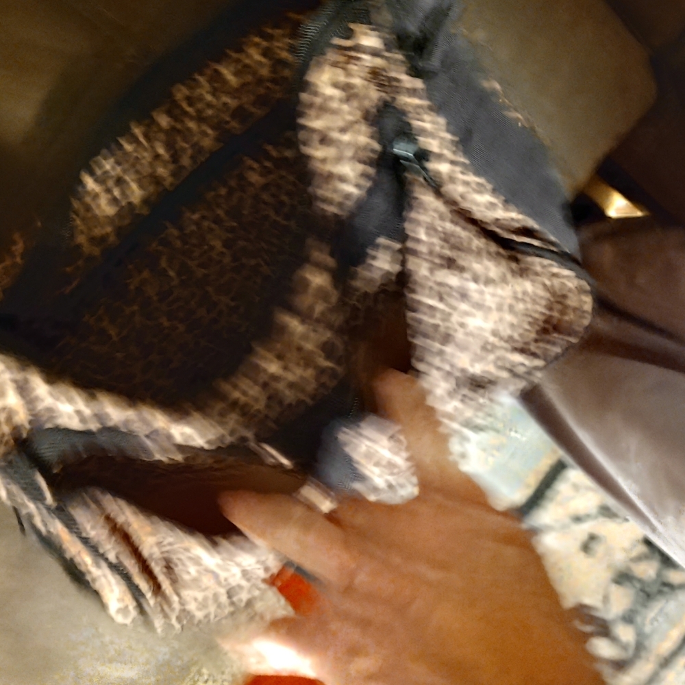 Leopard Print Bag - image 6